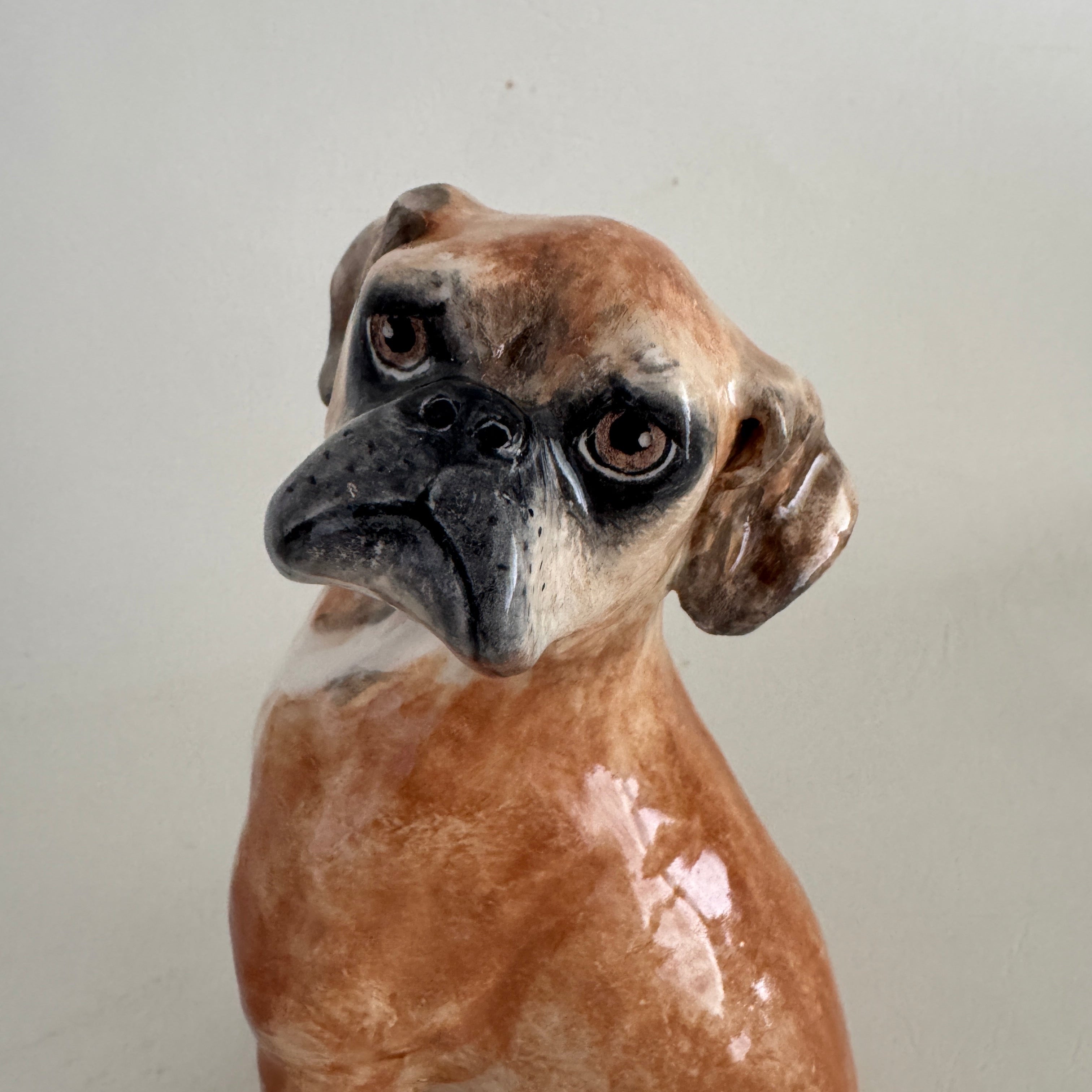 Remy, boxer with a heart of gold.
