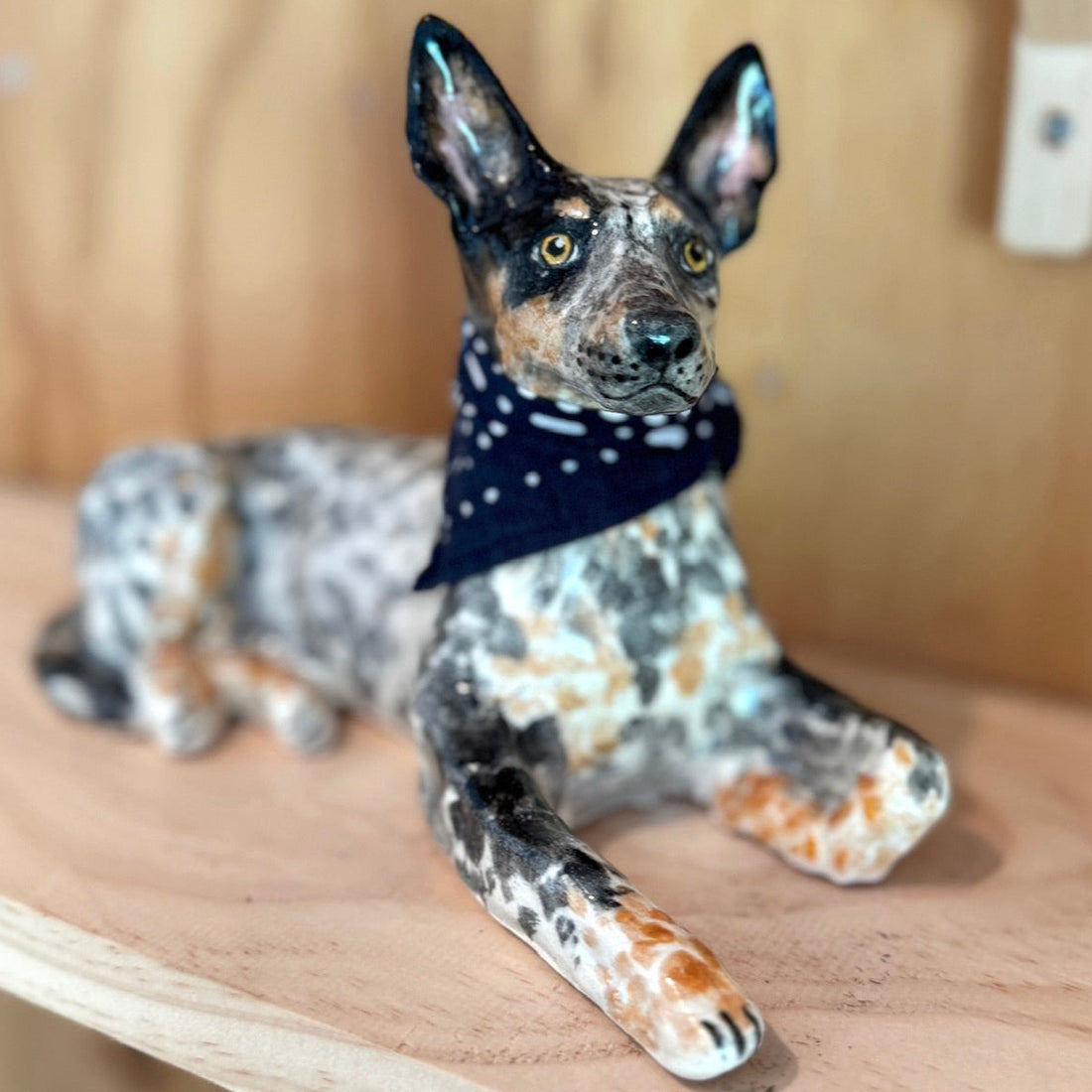 Australian Cattle Dog