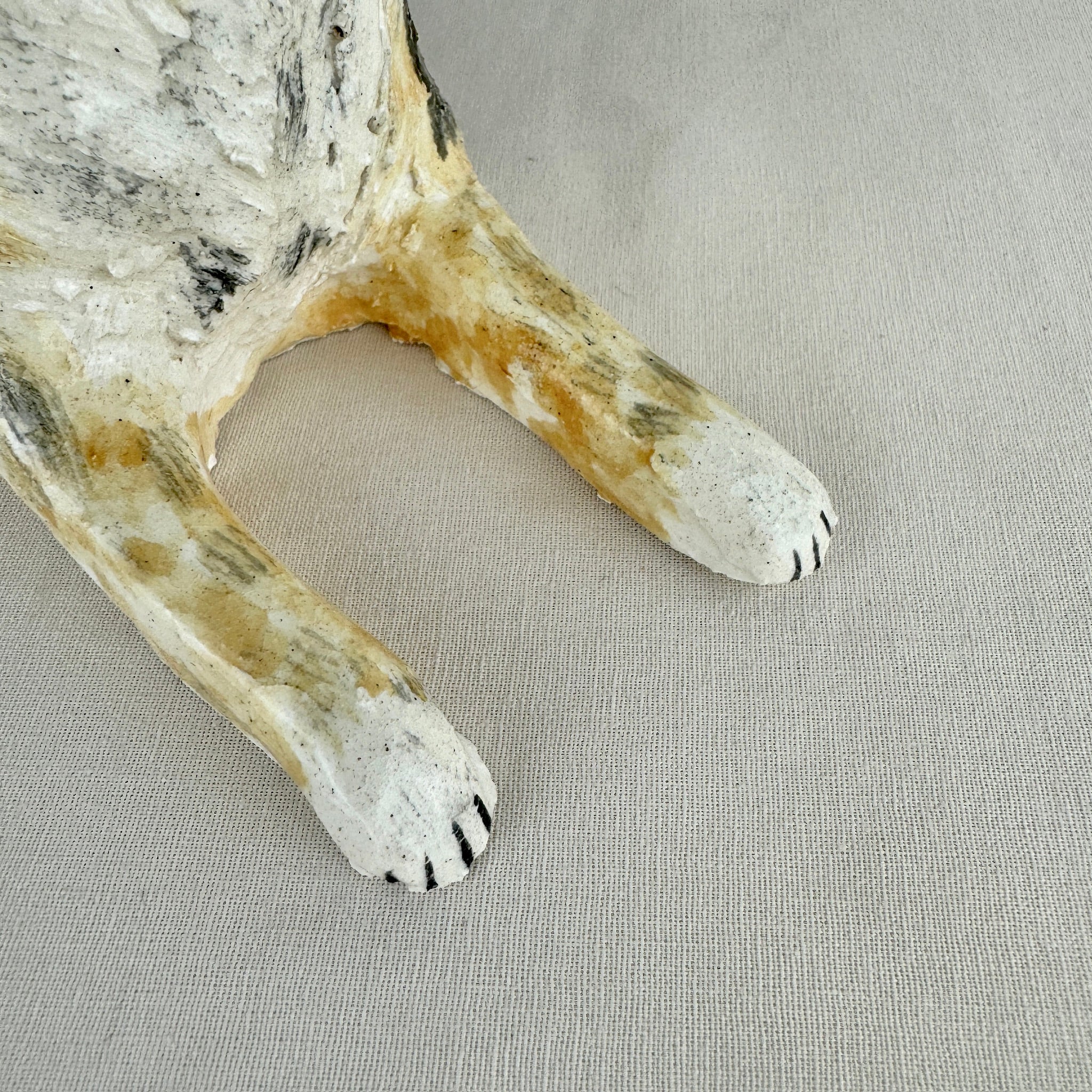 Switch the Australian Shepherd