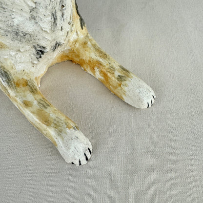 Switch the Australian Shepherd