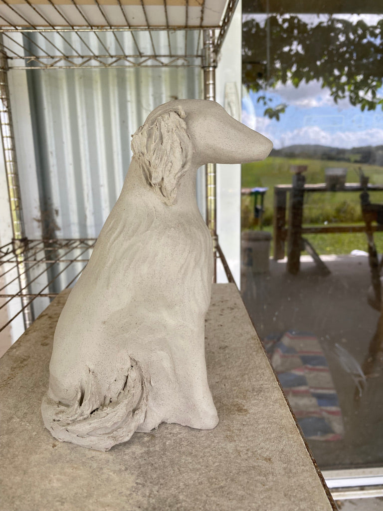 Willow the Flat Coated Retriever