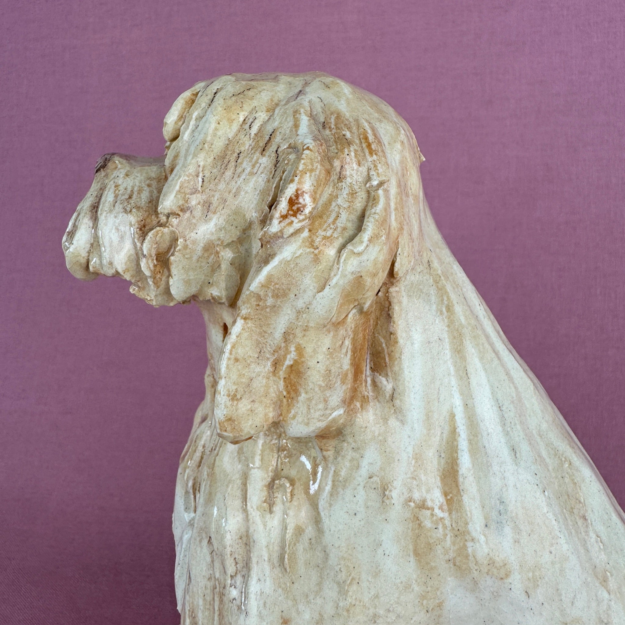 Louie the Labradoodle