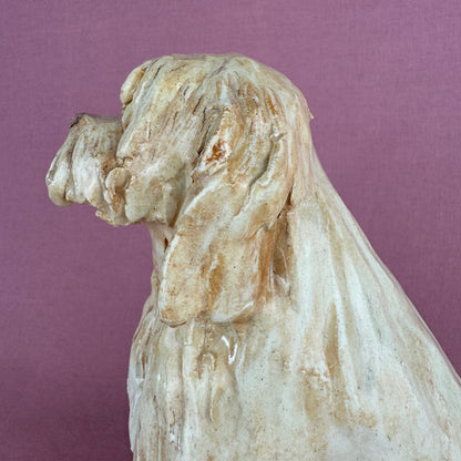 Louie the Labradoodle