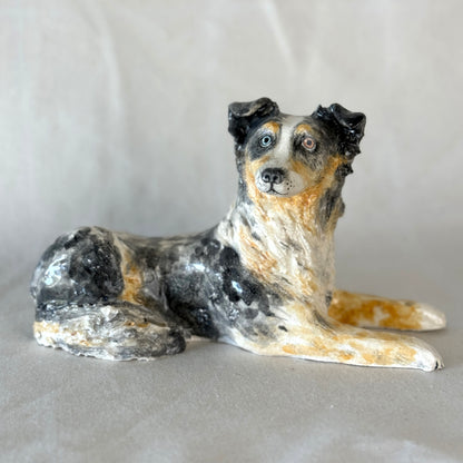 Switch the Australian Shepherd