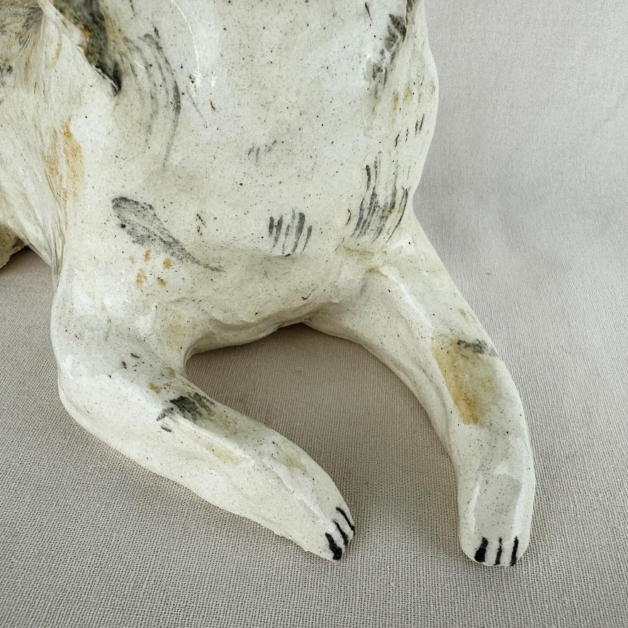 Pinski the Chihuahua