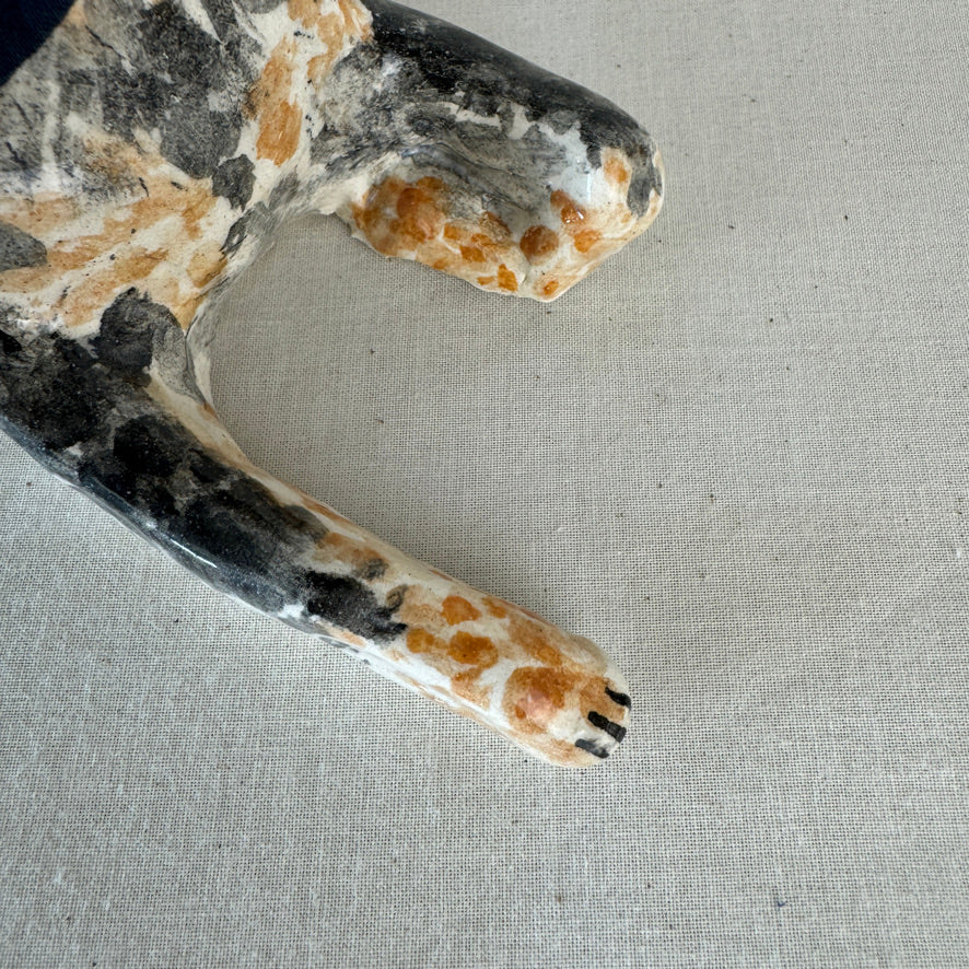 Australian Cattle Dog