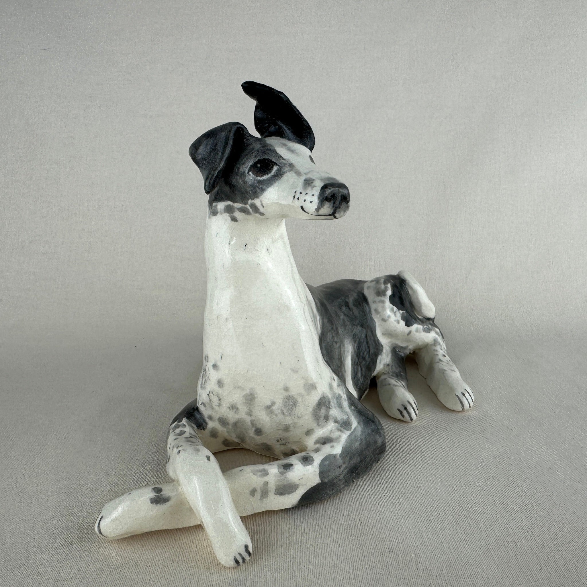 Ottolenghi the Greyhound