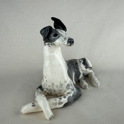 Ottolenghi the Greyhound