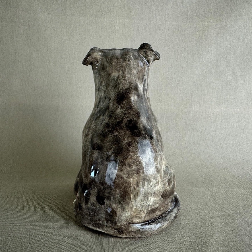 English Staffordshire Terrier