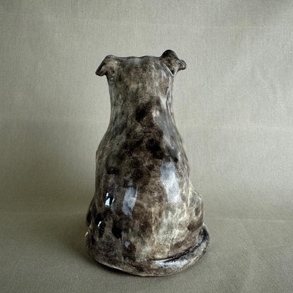 English Staffordshire Terrier