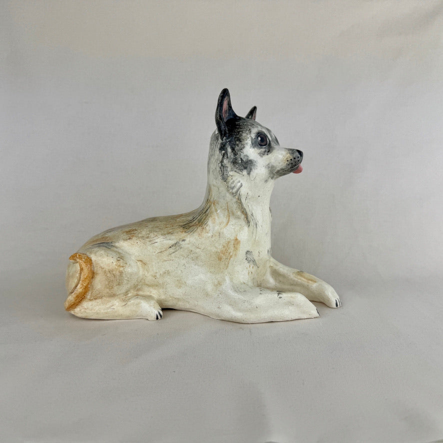 Pinski the Chihuahua