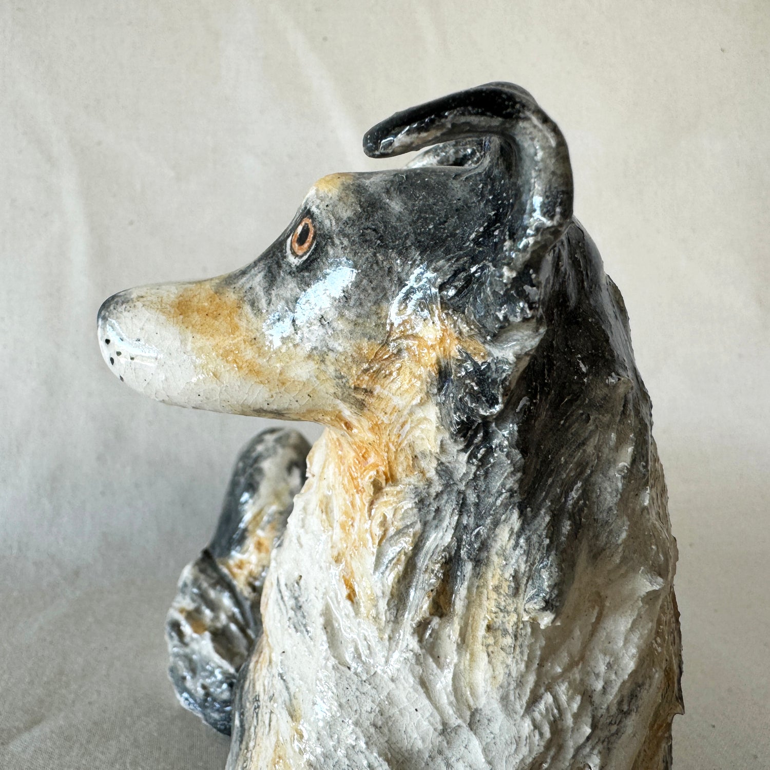 Switch the Australian Shepherd