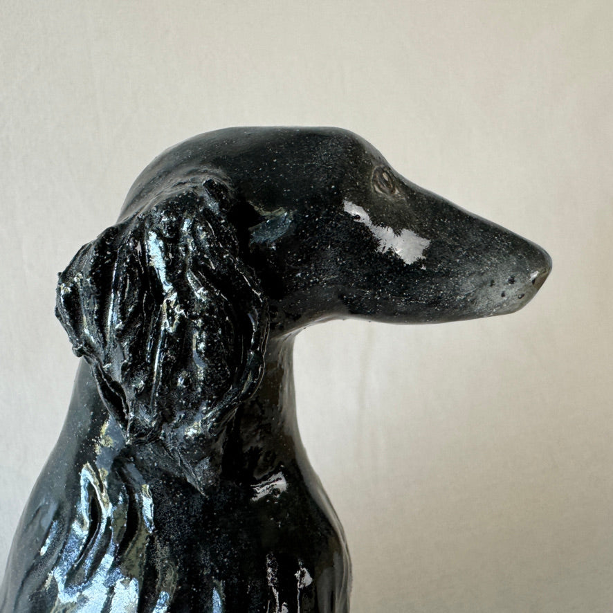 Willow the Flat Coated Retriever