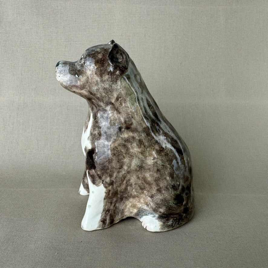 English Staffordshire Terrier