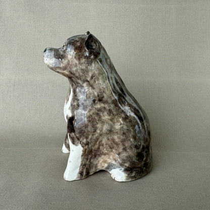 English Staffordshire Terrier