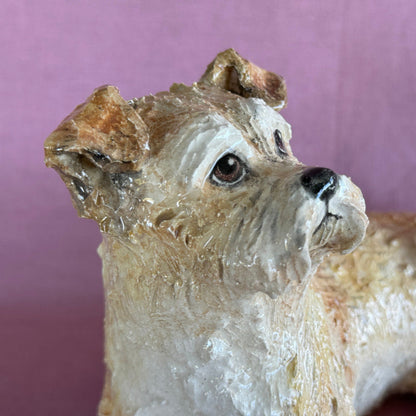 A Lucky Border Terrier