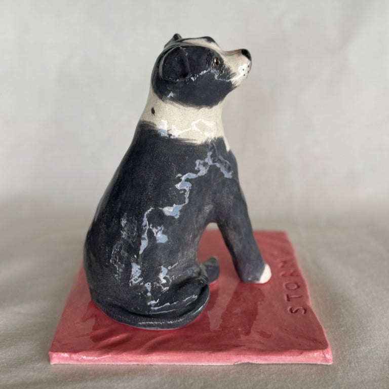 Stormi - English Staffordshire Terrier