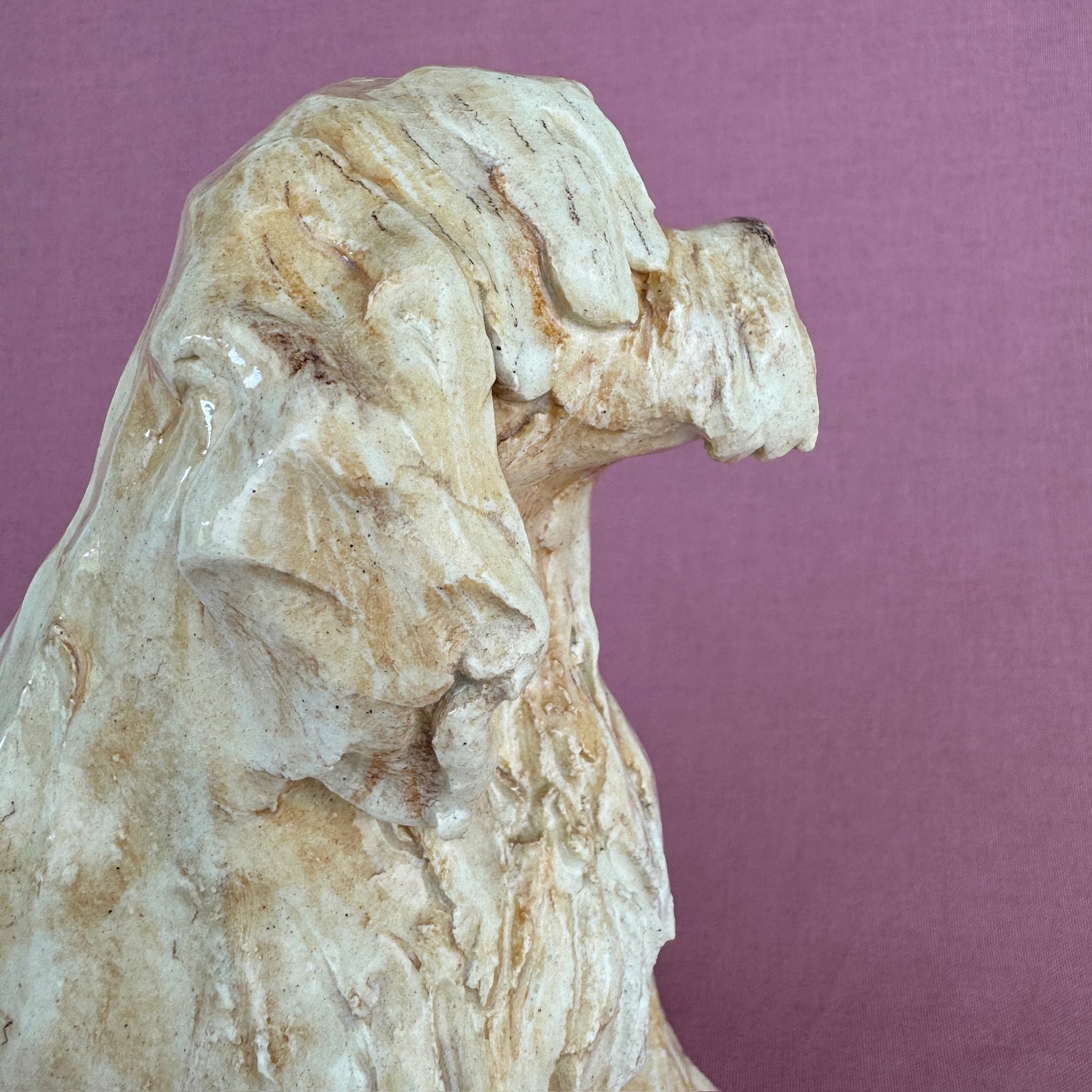 Louie the Labradoodle