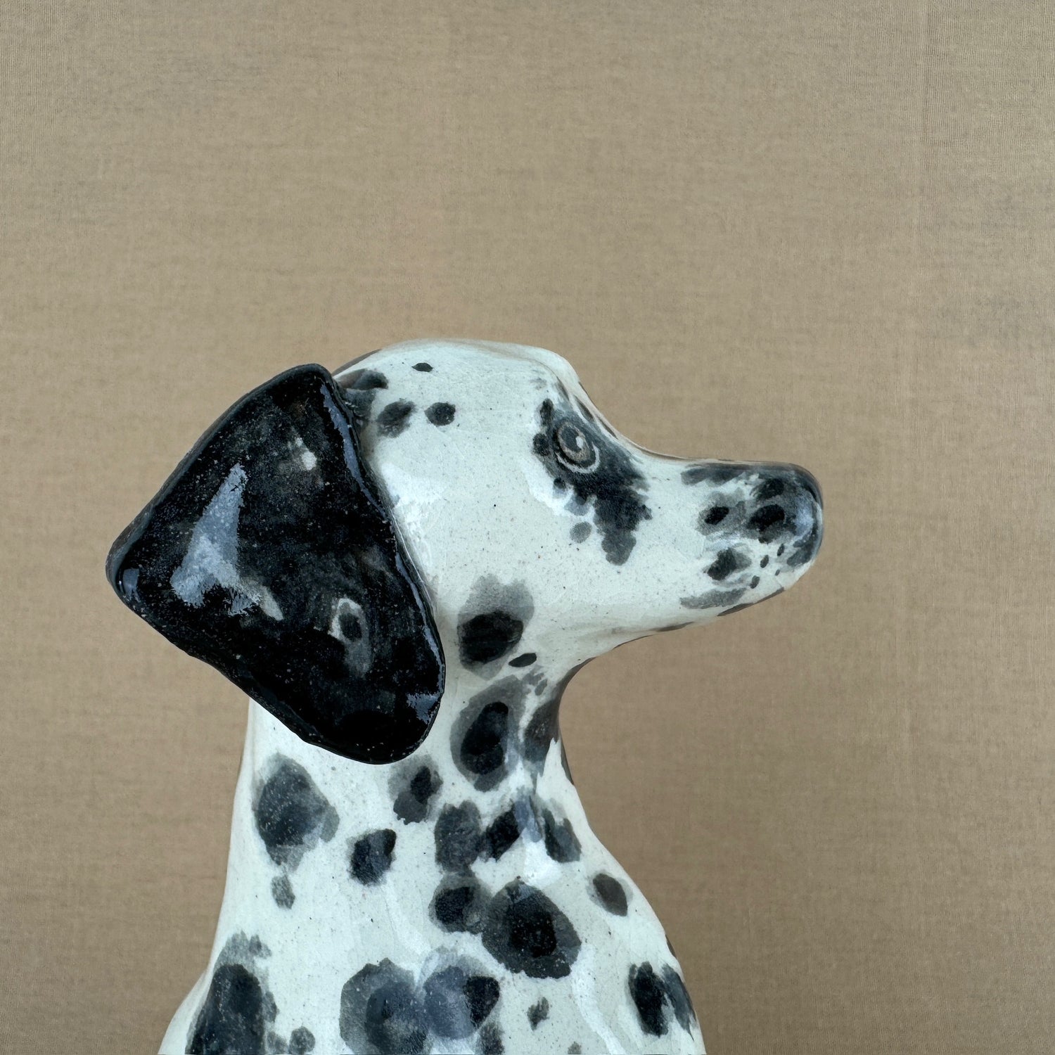 Maisy the Dalmation