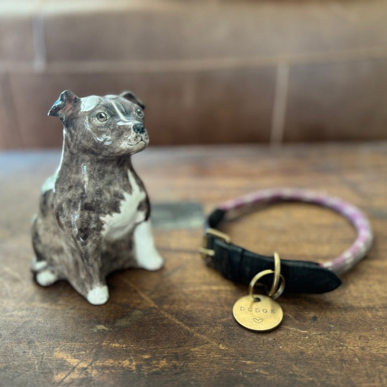 English Staffordshire Terrier