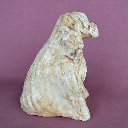 Louie the Labradoodle