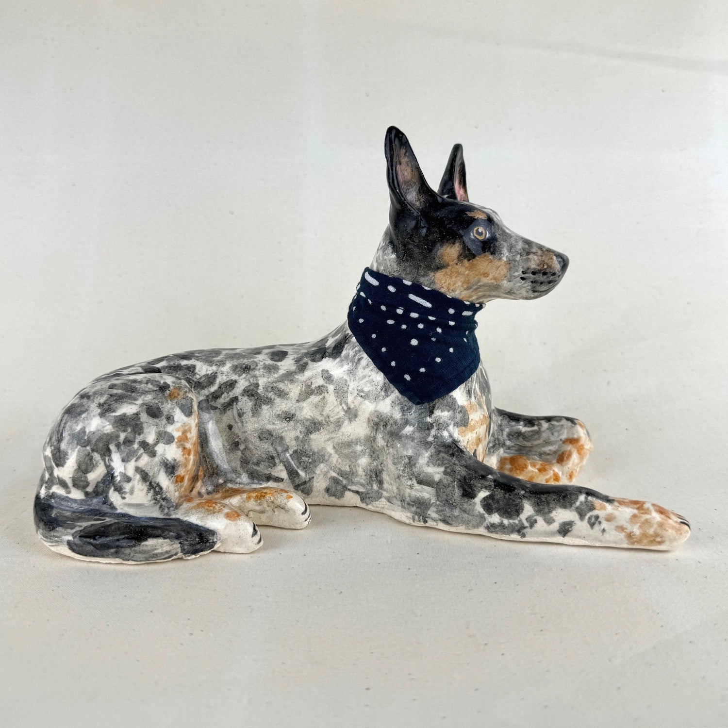 Australian Cattle Dog