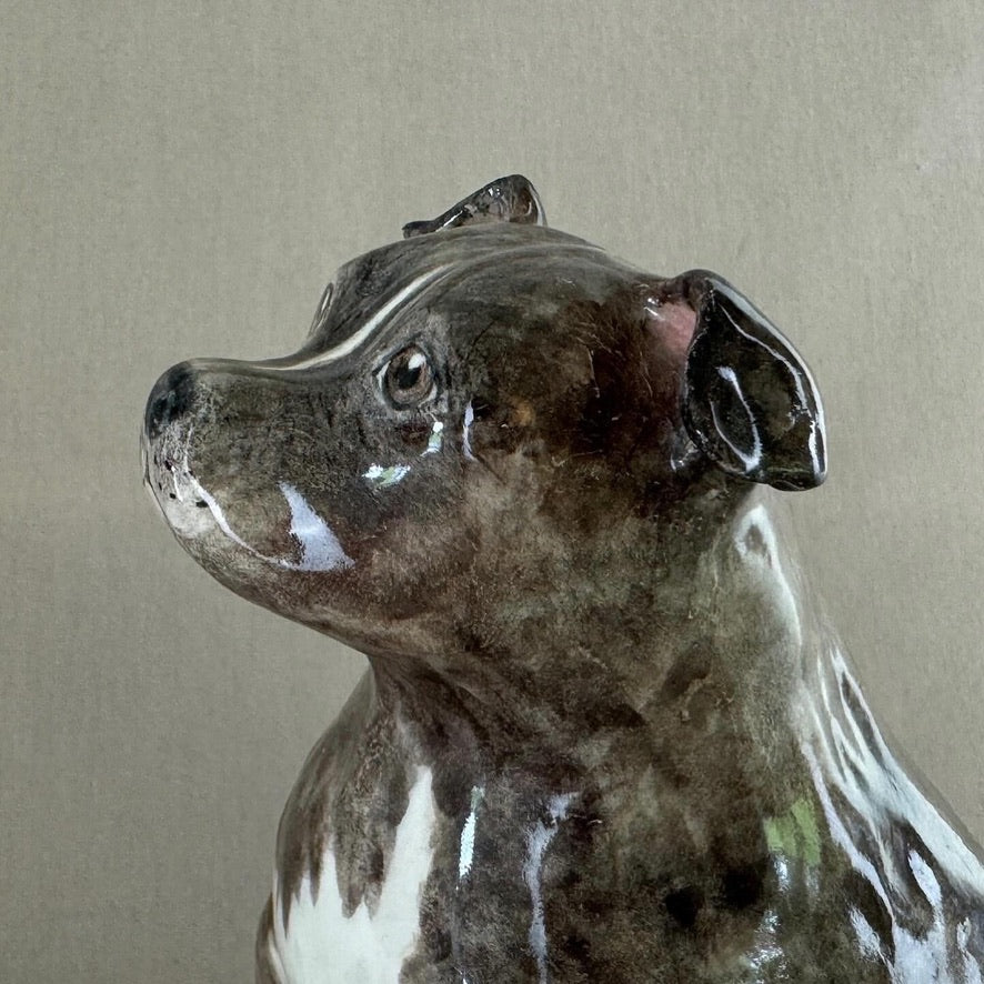 English Staffordshire Terrier