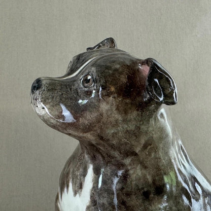 English Staffordshire Terrier