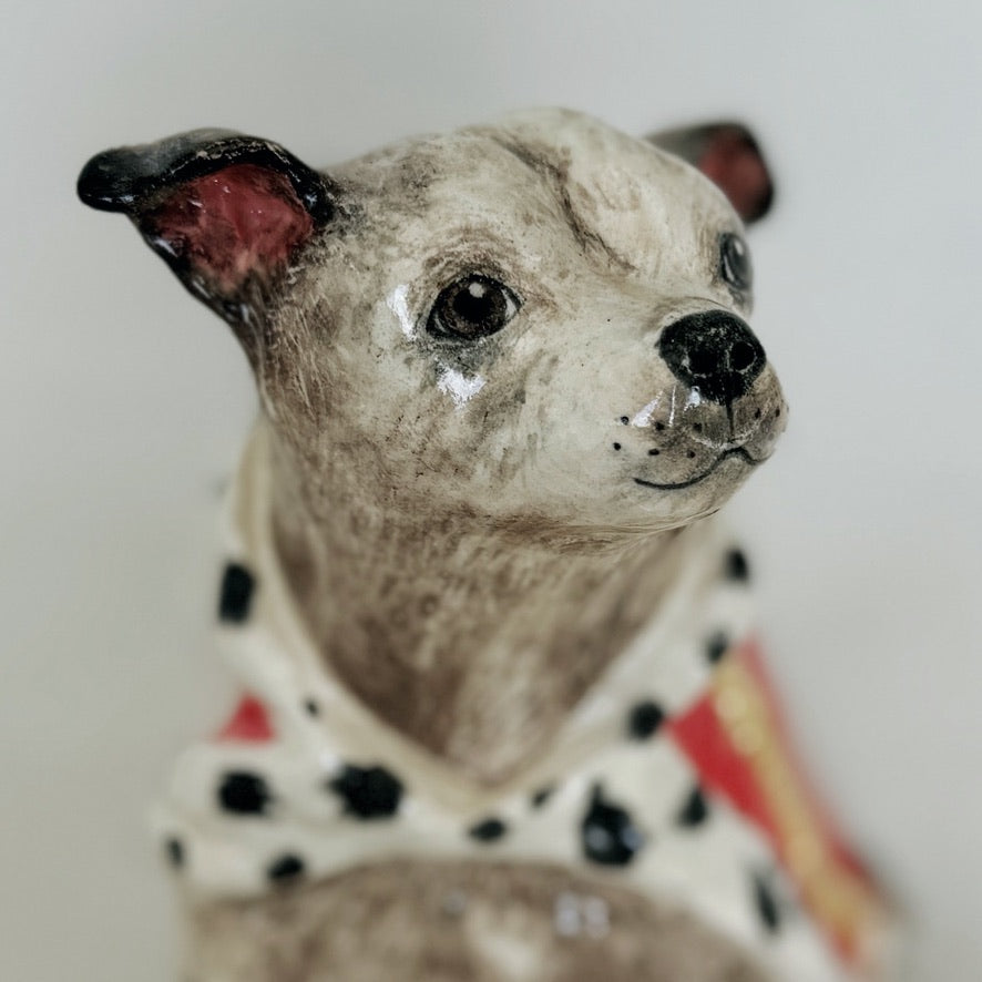 Diesel - English Staffie