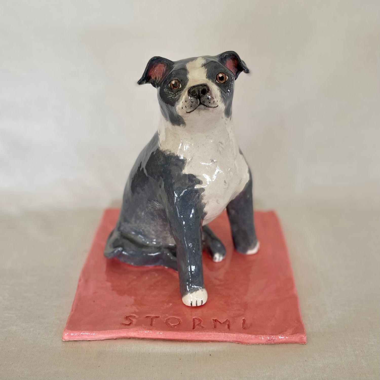 Stormi - English Staffordshire Terrier