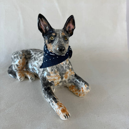 Australian Cattle Dog