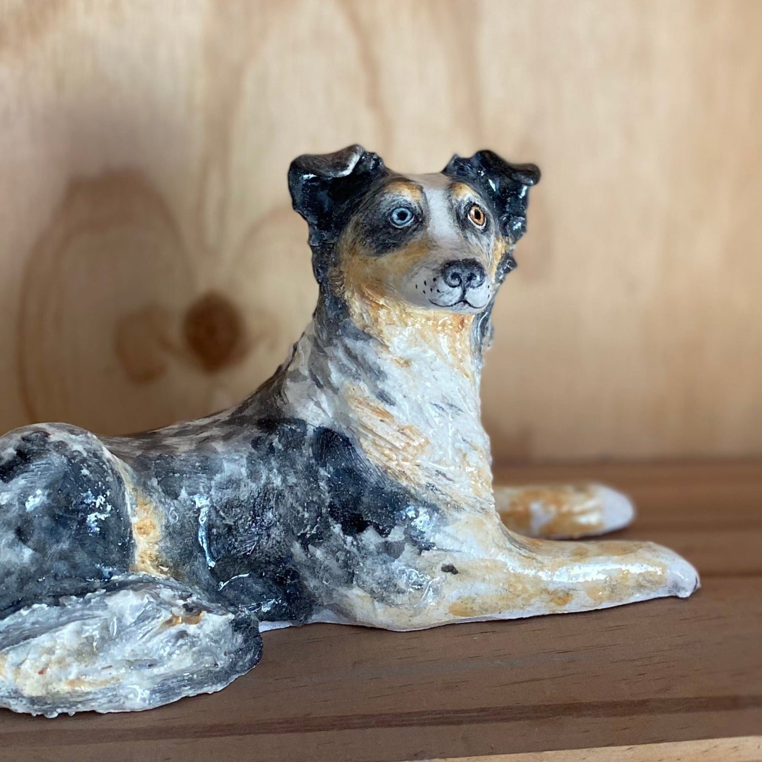 Switch the Australian Shepherd