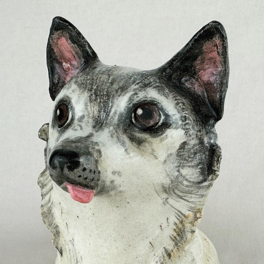 Pinski the Chihuahua