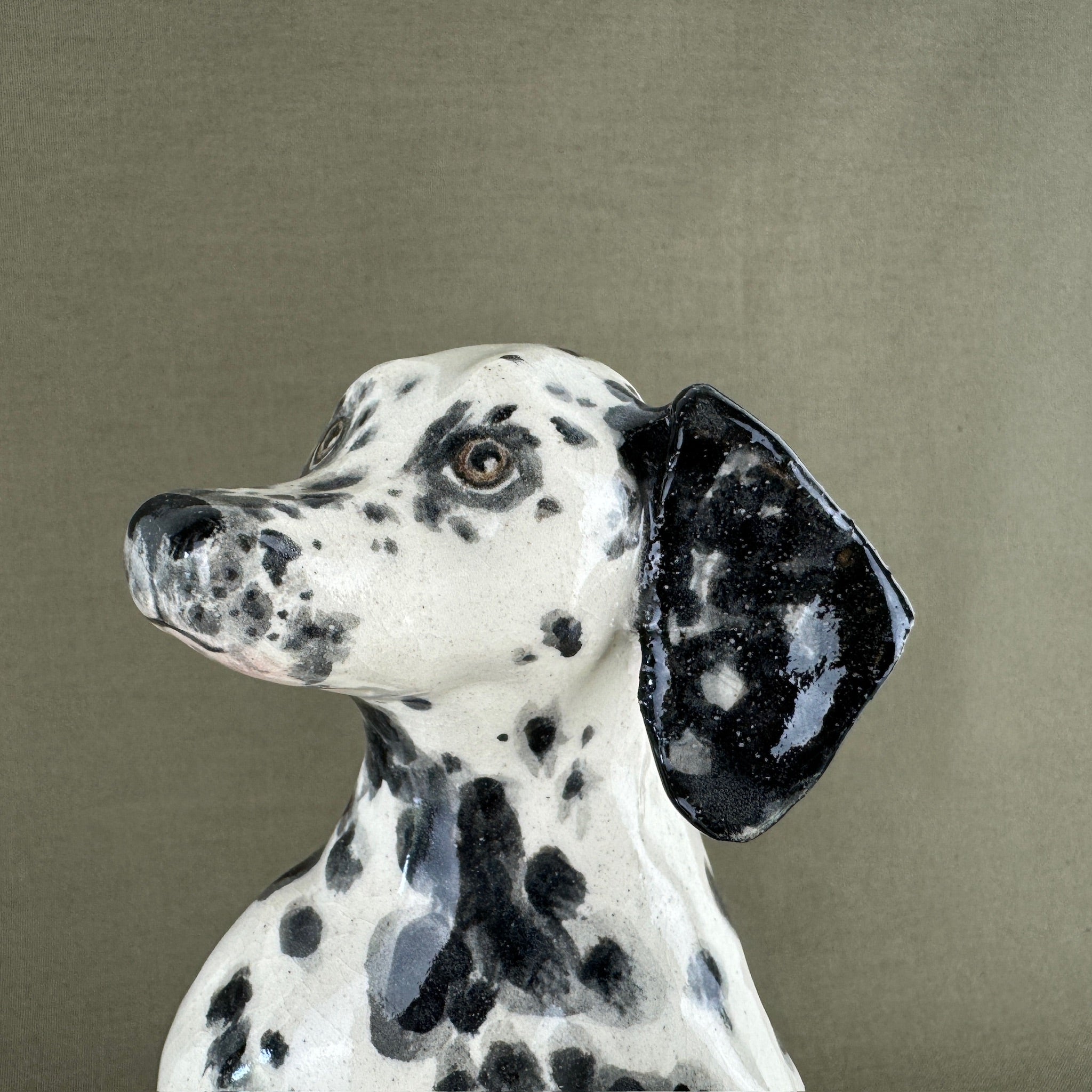Maisy the Dalmation