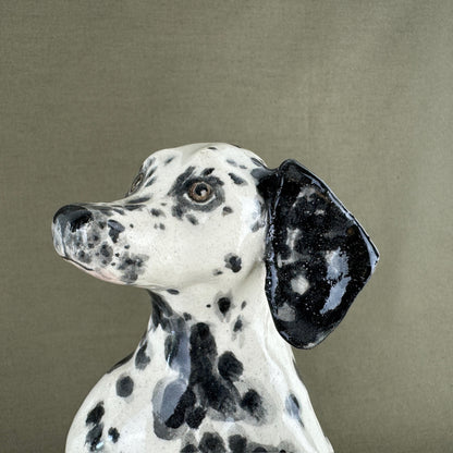 Maisy the Dalmation