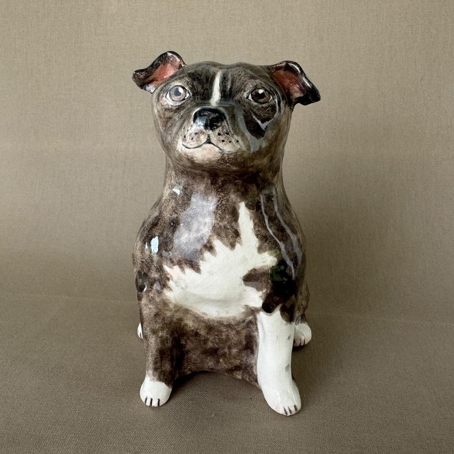 English Staffordshire Terrier