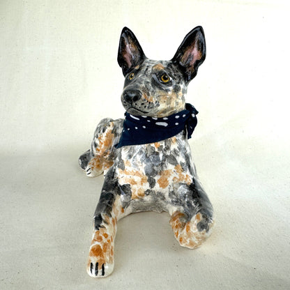 Australian Cattle Dog