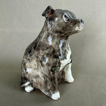 English Staffordshire Terrier