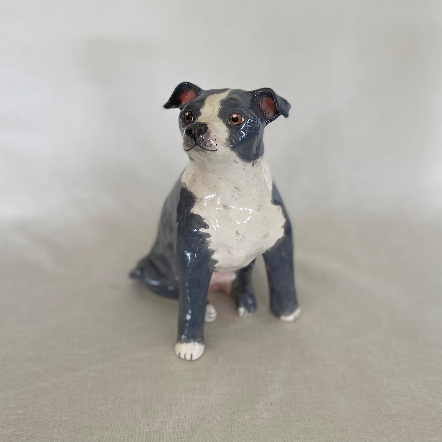 Stormi - English Staffordshire Terrier