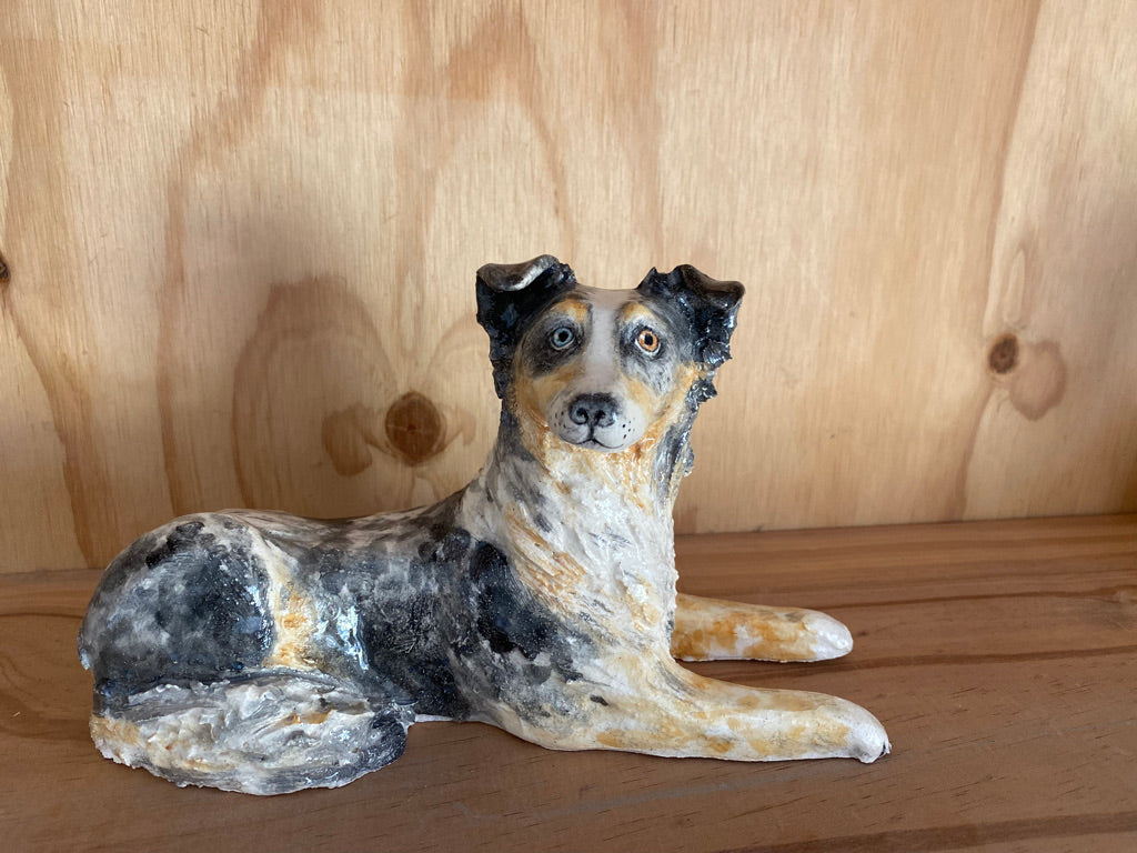 Switch the Australian Shepherd