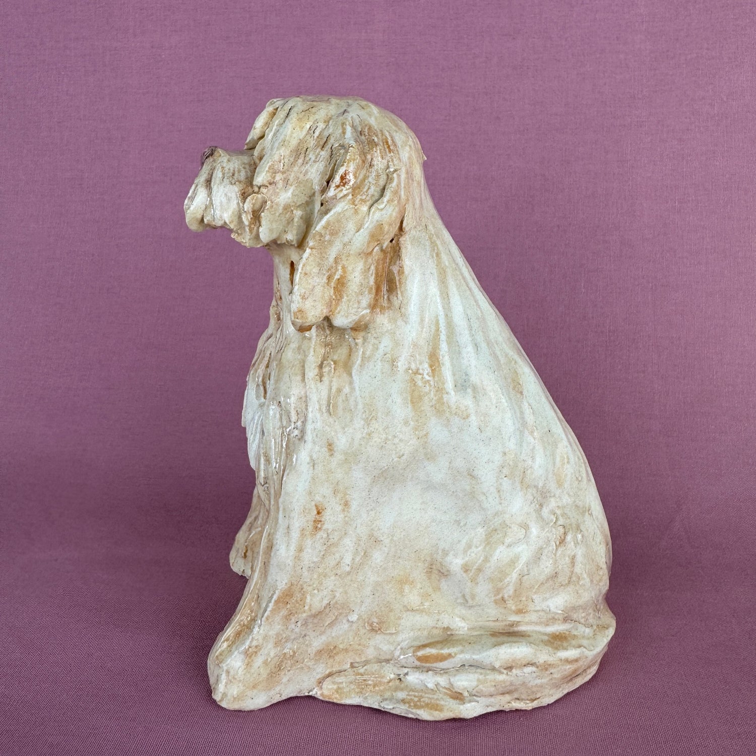 Louie the Labradoodle