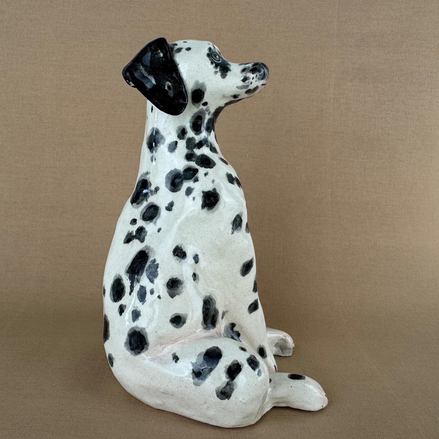 Maisy the Dalmation