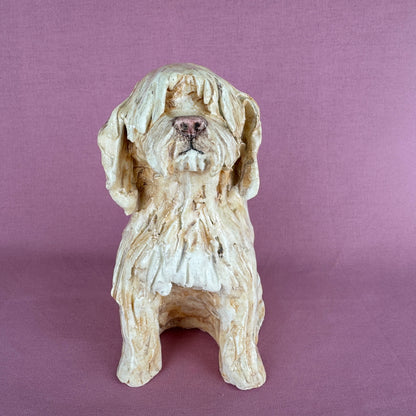 Louie the Labradoodle