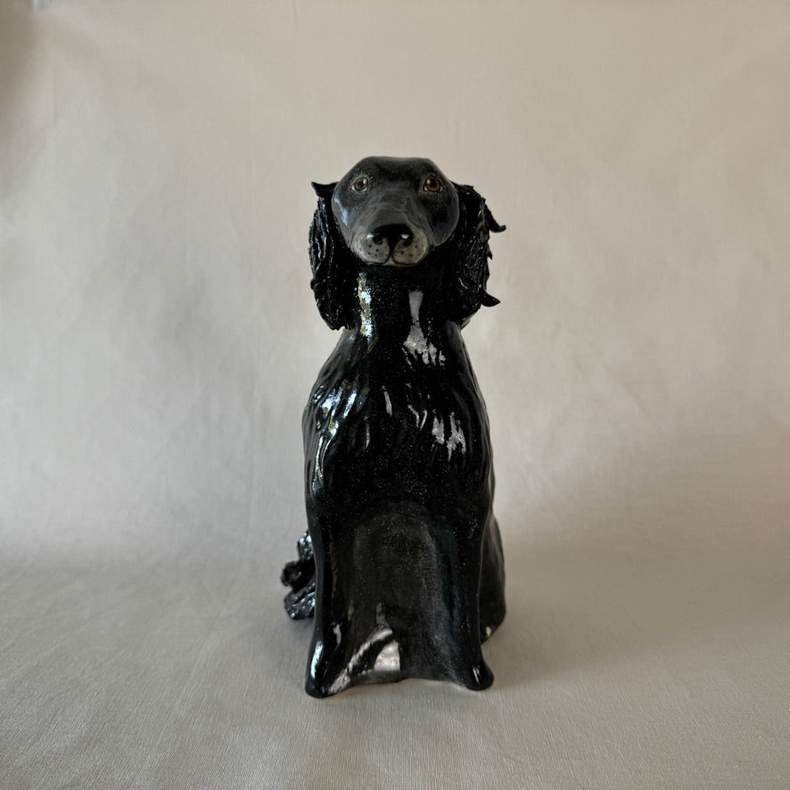 Willow the Flat Coated Retriever