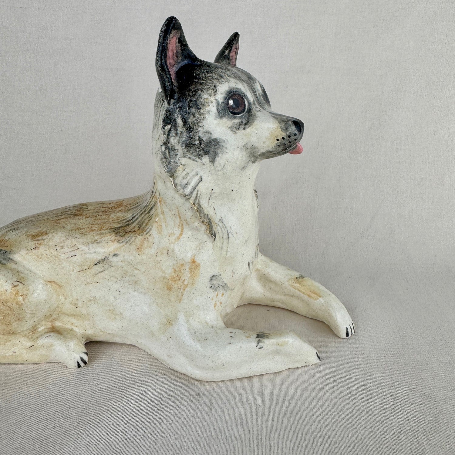 Pinski the Chihuahua