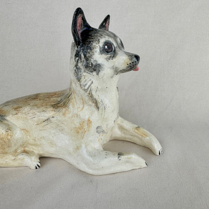 Pinski the Chihuahua