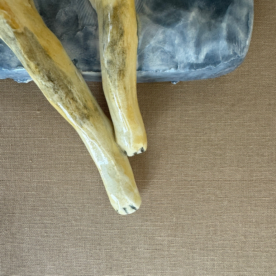 Sneakers the Greyhound