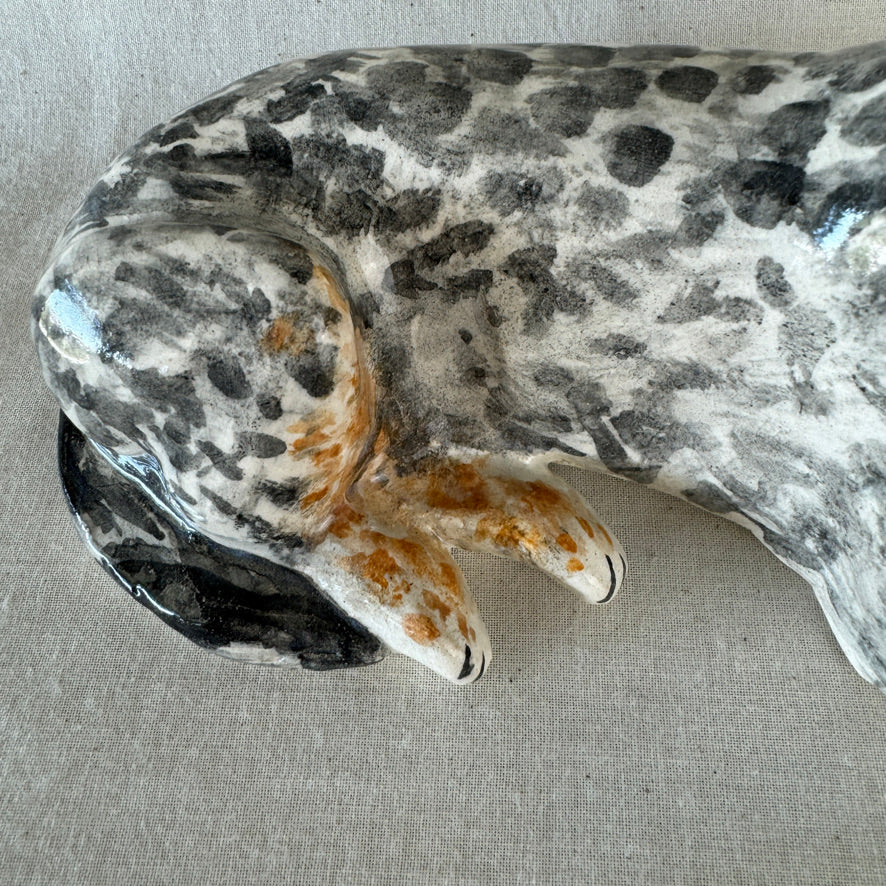 Australian Cattle Dog