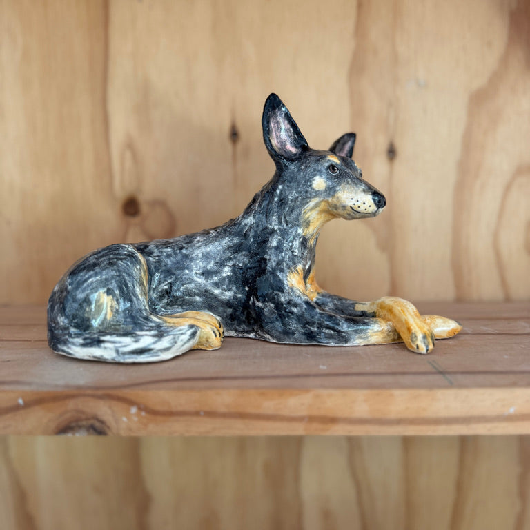 Basil the blue heeler.