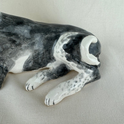 Ottolenghi the Greyhound